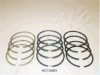 NISSA 1301156012 Piston Ring